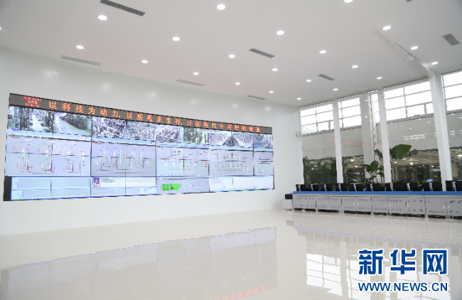 强信心·走进百企丨28圈(NG)大舞台药业：“数智化”助力中医药开启发展新篇章